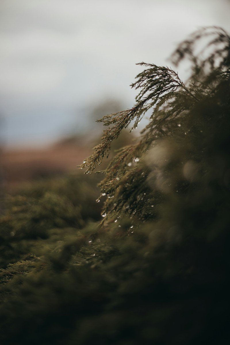 Sixteen miles out 36v Ic Gnp X Lc unsplash