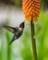 Jeremy hynes jf7ow W Sc N Hs unsplash