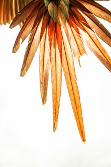 Birger strahl 2nv9te Vx R6 Q unsplash
